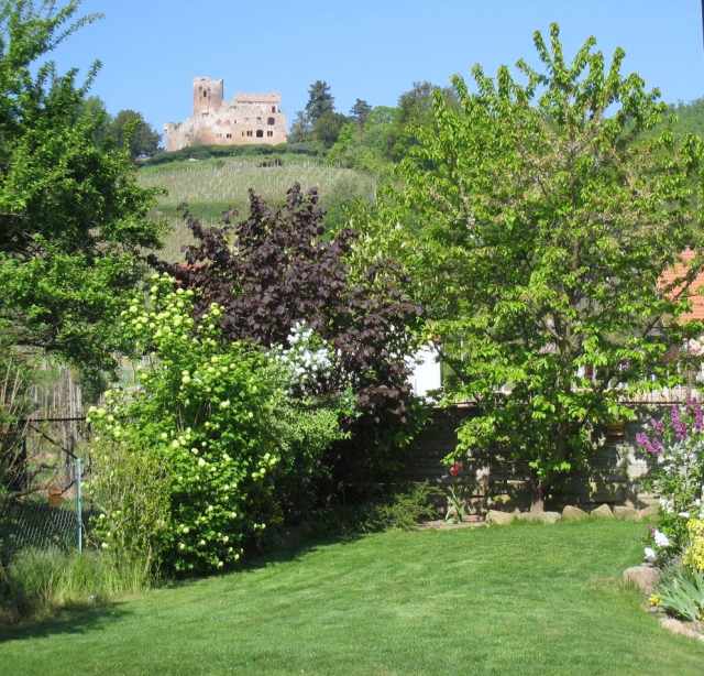 Photo Gte rural Kintzheim Les gites du relais des vignes