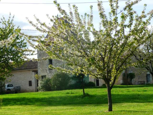 Photo Gte rural St jean de duras Gites de momiac