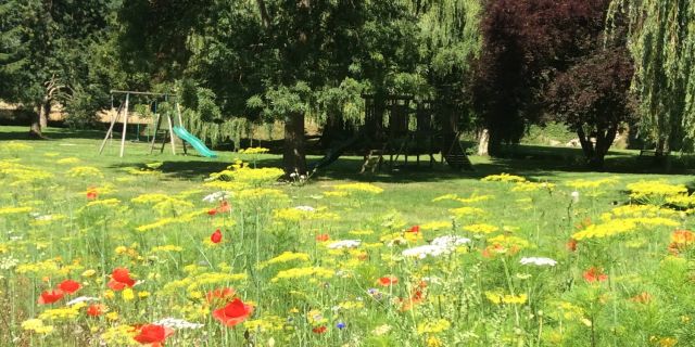 Jardin