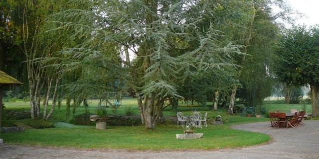 Terrasse et parc