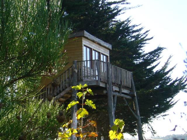Photo Gte rural Planguenoual La cabane dans les arbres