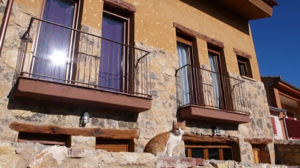 Sol del duratn