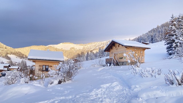 Photo Maison / Villa Notre dame de bellecombe Chalet savoie
