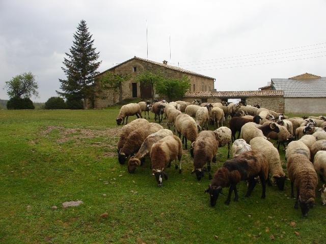 Casas rurales de la salada