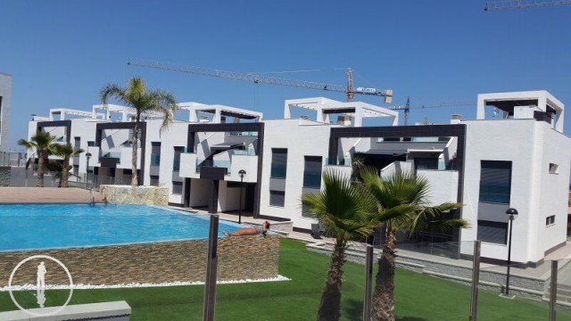 Oasis beach viii 39