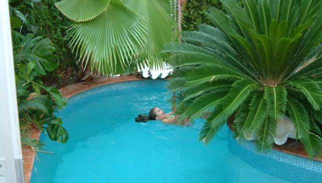  Collot collias vacances