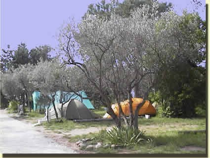 Photo Eygalires Camping les oliviers