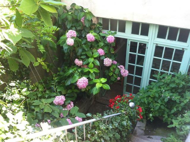 Photo Chambre d'hte St hippolyte du fort Les asphodles