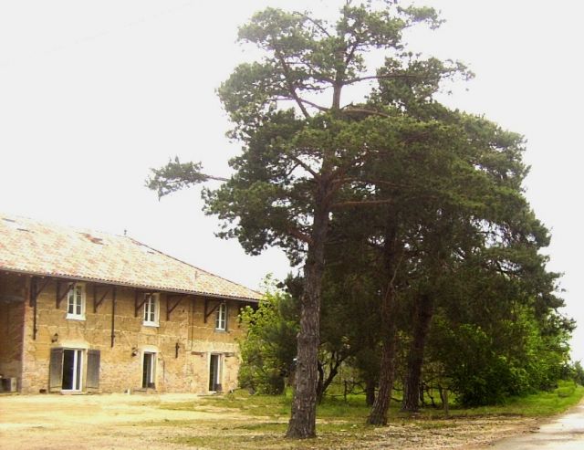 Domaine de la rochere